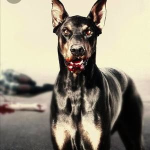 Meet your Posher, Warren